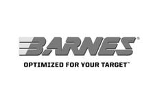 Barnes Ammunition