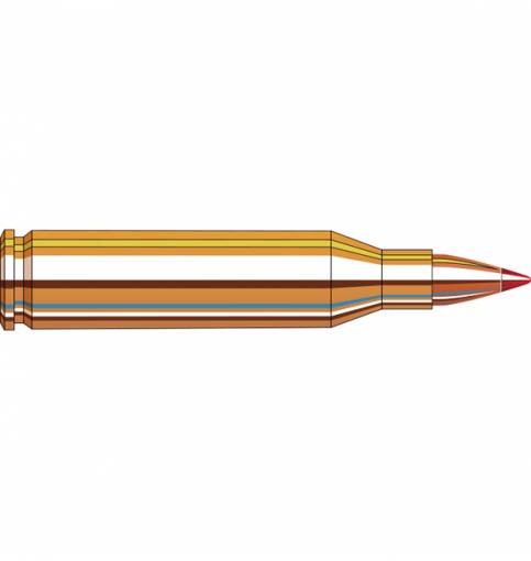 Hornady Superformance Varmint .243 Win 58gr V-MAX (Box of 20)