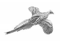 Pewter Keyring No.3 Pheasant
