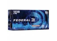 Federal .243 Power-Shok 100gr Soft Point (Box of 20)