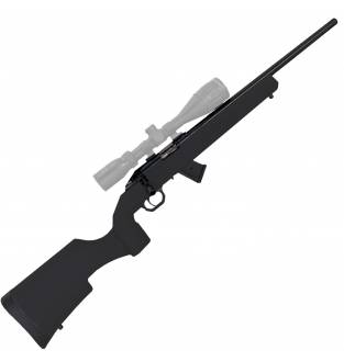 Howa 1100 .22LR
