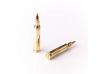 Fiocchi .223 Rem 50gr EPN (Box of 50)