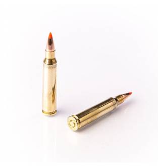 Fiocchi .223 Rem 50gr EPN (Box of 50)