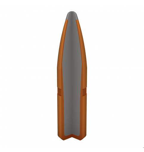 Winchester 243Win POWER POINT 100gr - Box of 20